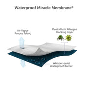 Protectabed Cotton Mattress Protector